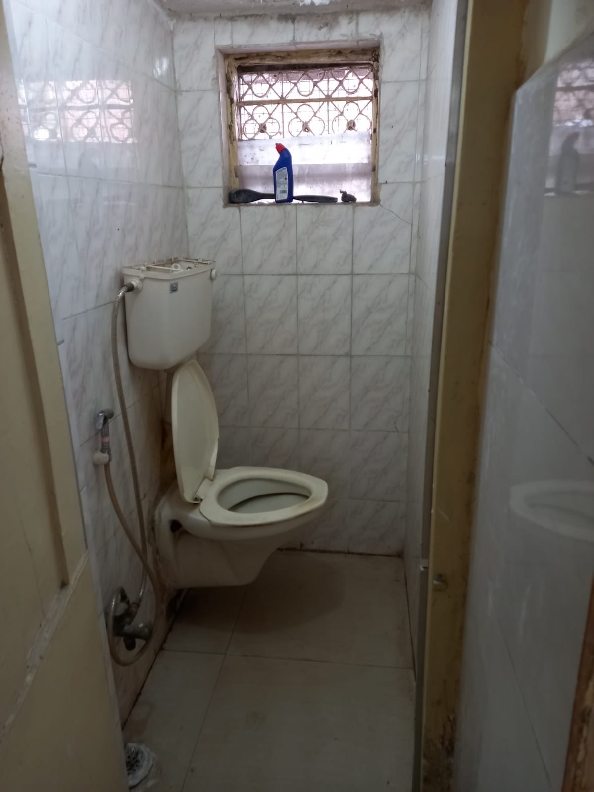 WhatsApp Image 2024-08-28 at 7.13.09 PM (2)